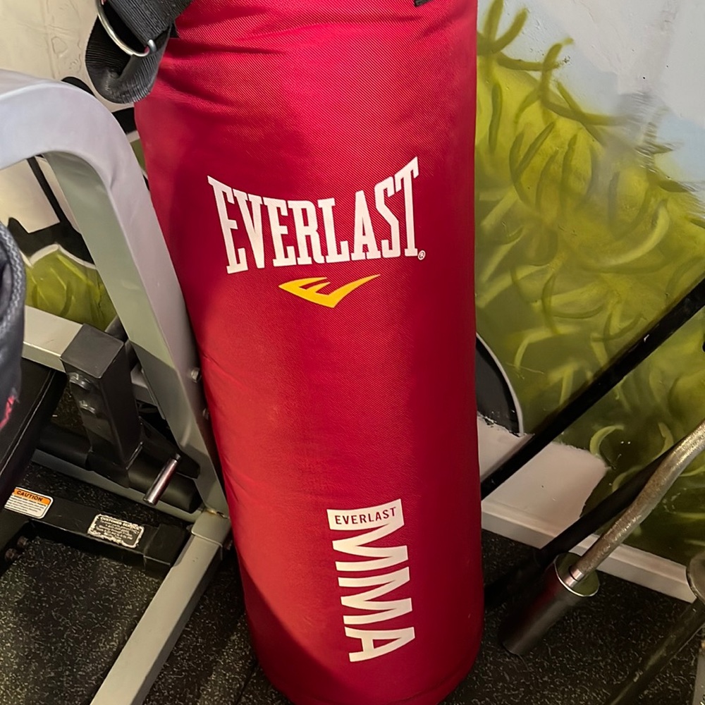 Brand new everlast mma punching bag